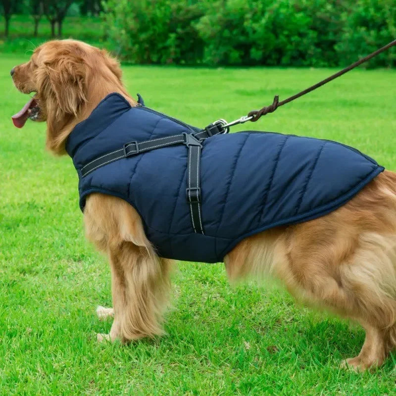 3 in 1 Winter Dog Jacket