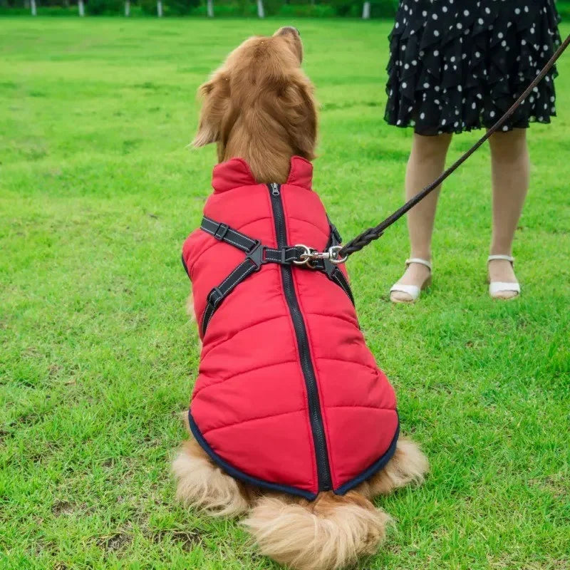 3 in 1 Winter Dog Jacket